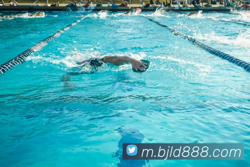 百家乐网站平台生态图