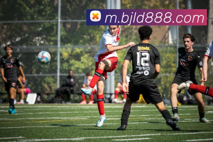 百家乐网站APP 封面图